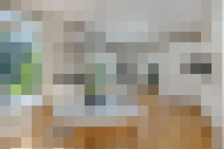 De Heerlijkheidlaan 4 Berlicum thumbnail 18
