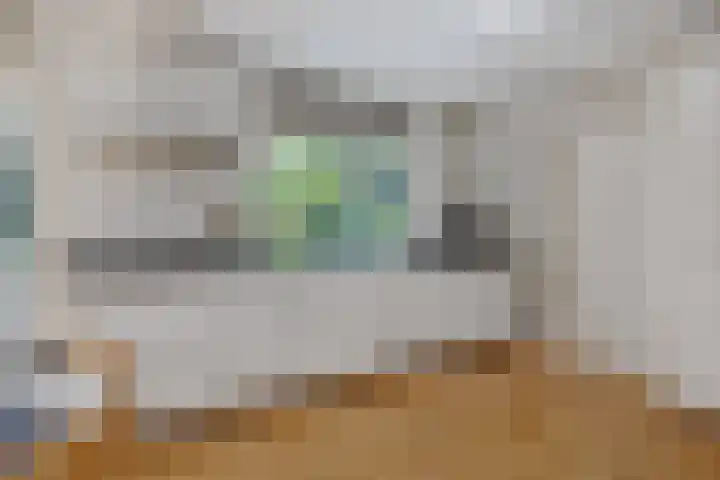 De Heerlijkheidlaan 4 Berlicum thumbnail 19