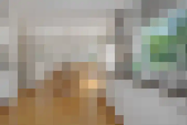 De Heerlijkheidlaan 4 Berlicum thumbnail 20