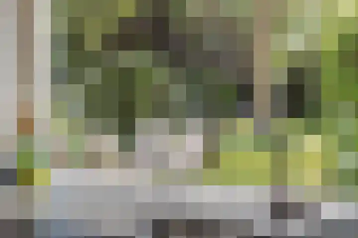 De Heerlijkheidlaan 4 Berlicum thumbnail 21