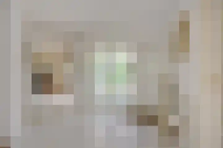 De Heerlijkheidlaan 4 Berlicum thumbnail 23