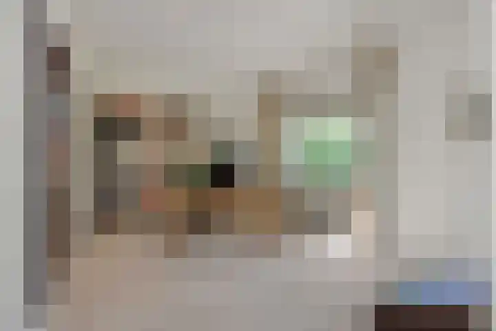 De Heerlijkheidlaan 4 Berlicum thumbnail 24