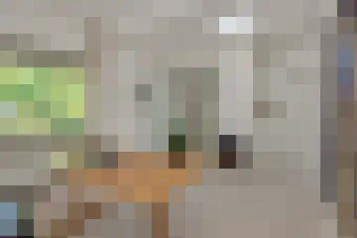 De Heerlijkheidlaan 4 Berlicum thumbnail 25