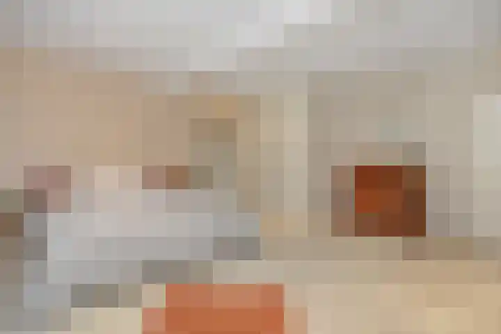 De Heerlijkheidlaan 4 Berlicum thumbnail 29