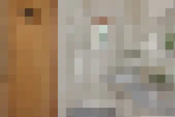 De Heerlijkheidlaan 4 Berlicum thumbnail 30