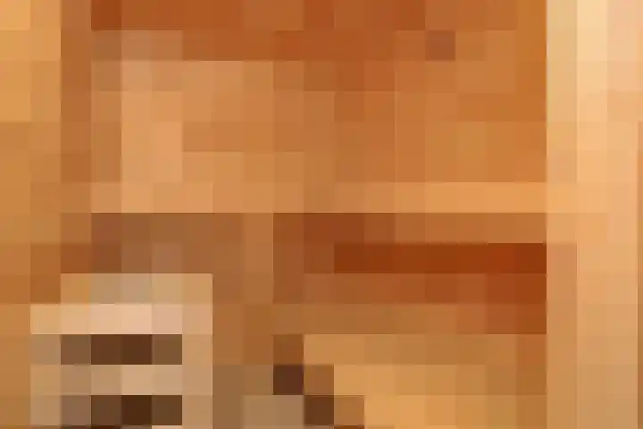 De Heerlijkheidlaan 4 Berlicum thumbnail 31