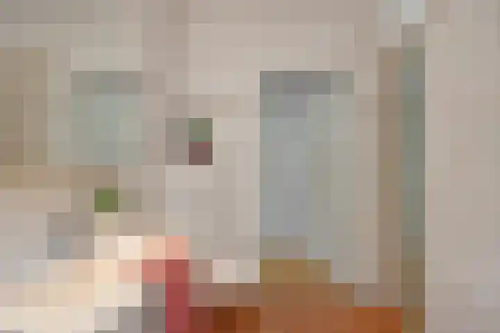 De Heerlijkheidlaan 4 Berlicum thumbnail 37