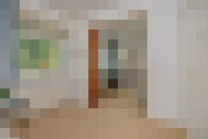 De Heerlijkheidlaan 4 Berlicum thumbnail 39