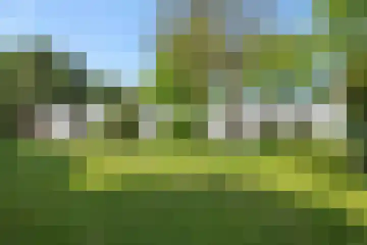 De Heerlijkheidlaan 4 Berlicum thumbnail 4