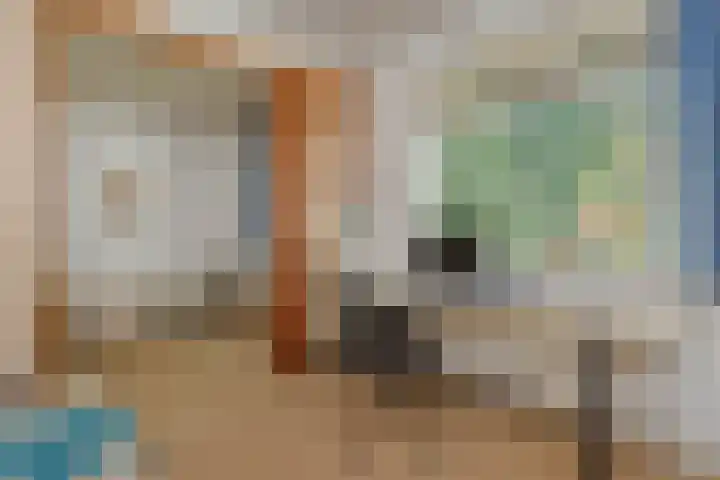 De Heerlijkheidlaan 4 Berlicum thumbnail 40