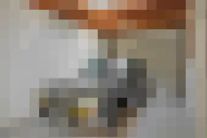 De Heerlijkheidlaan 4 Berlicum thumbnail 43