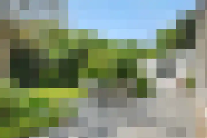 De Heerlijkheidlaan 4 Berlicum thumbnail 44