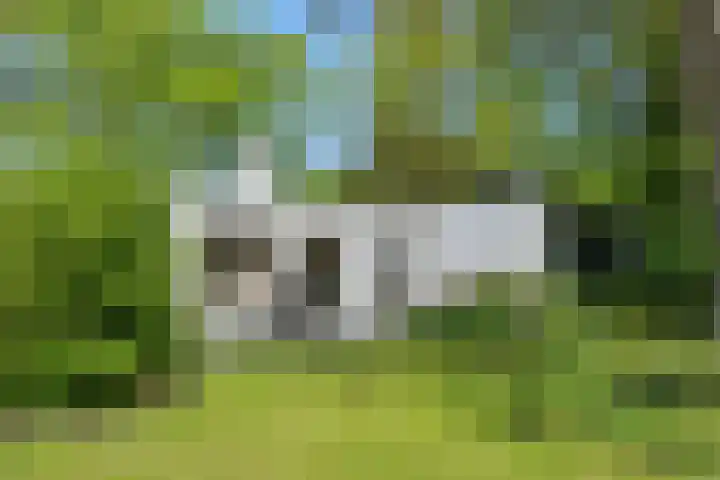 De Heerlijkheidlaan 4 Berlicum thumbnail 45