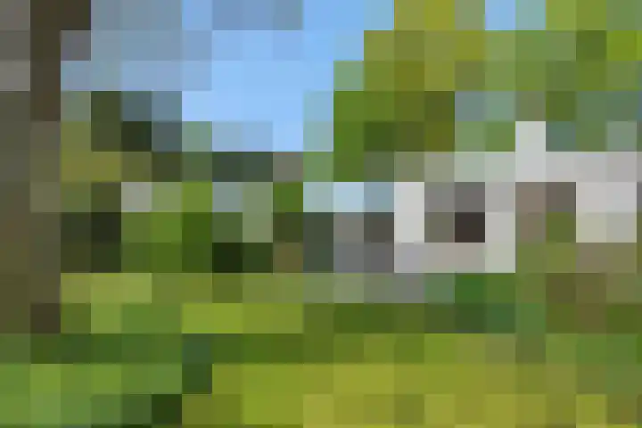 De Heerlijkheidlaan 4 Berlicum thumbnail 46