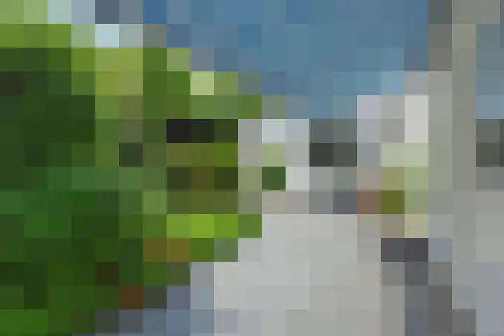 De Heerlijkheidlaan 4 Berlicum thumbnail 48