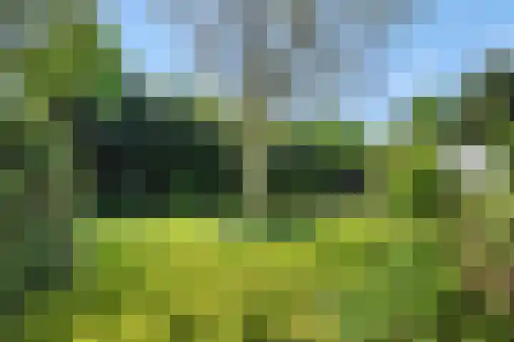 De Heerlijkheidlaan 4 Berlicum thumbnail 49
