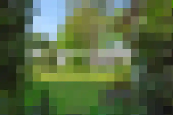 De Heerlijkheidlaan 4 Berlicum thumbnail 50
