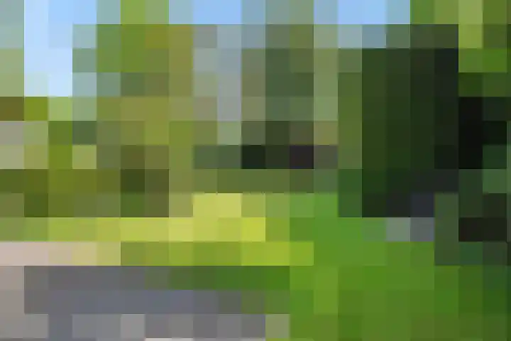 De Heerlijkheidlaan 4 Berlicum thumbnail 51