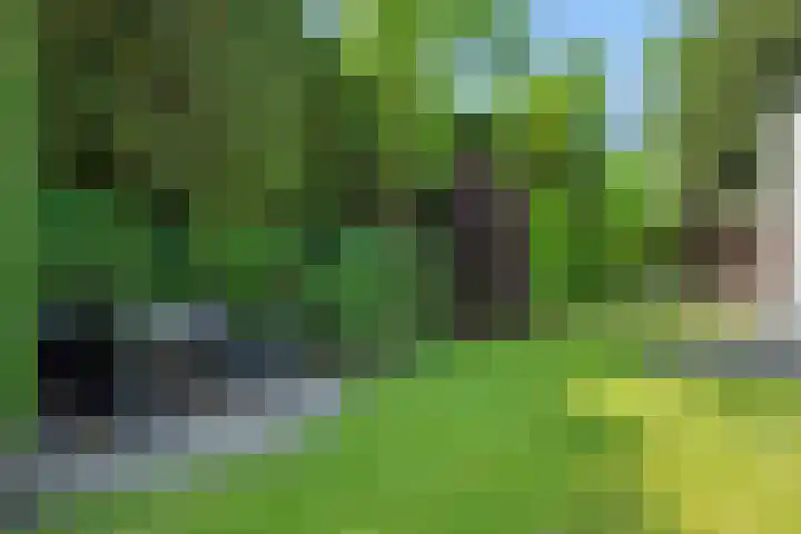De Heerlijkheidlaan 4 Berlicum thumbnail 52