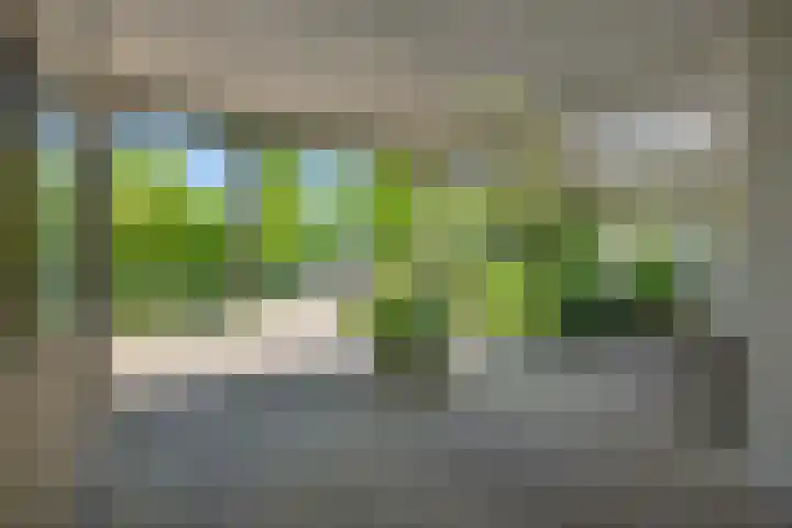 De Heerlijkheidlaan 4 Berlicum thumbnail 54