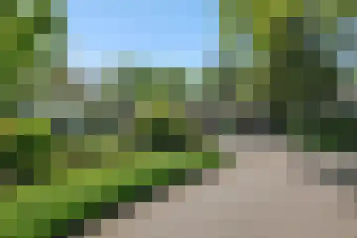 De Heerlijkheidlaan 4 Berlicum thumbnail 55