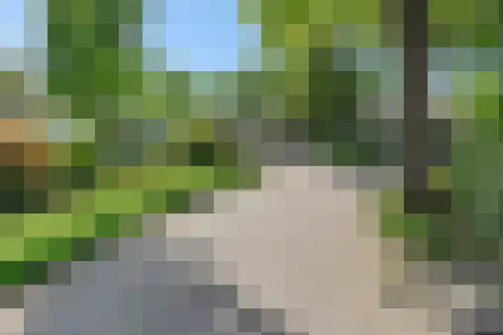 De Heerlijkheidlaan 4 Berlicum thumbnail 56