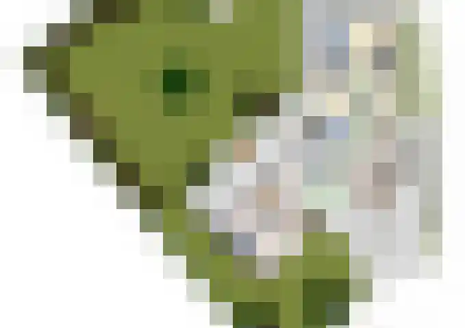 De Heerlijkheidlaan 4 Berlicum thumbnail 59
