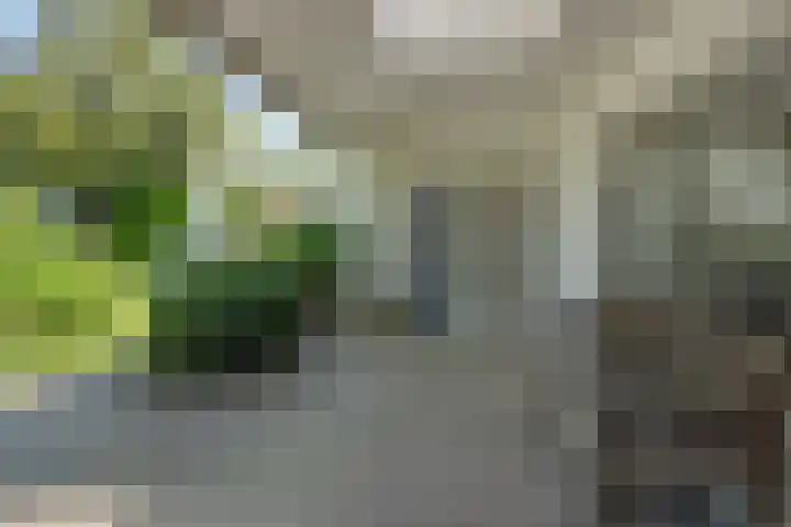 De Heerlijkheidlaan 4 Berlicum thumbnail 6
