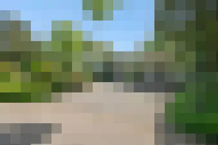 De Heerlijkheidlaan 4 Berlicum thumbnail 62
