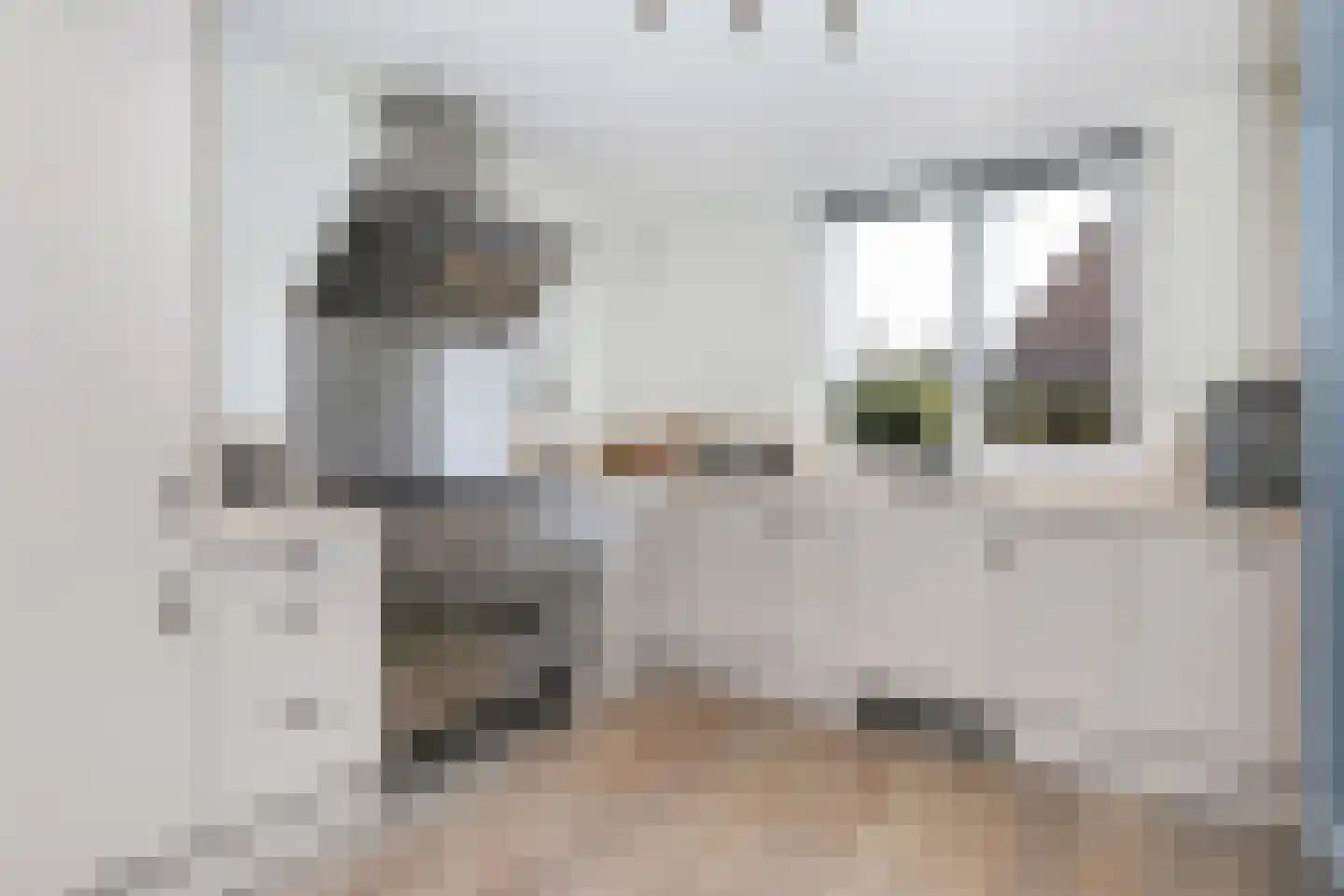 De Heetkamp 13 Hoogland thumbnail 14