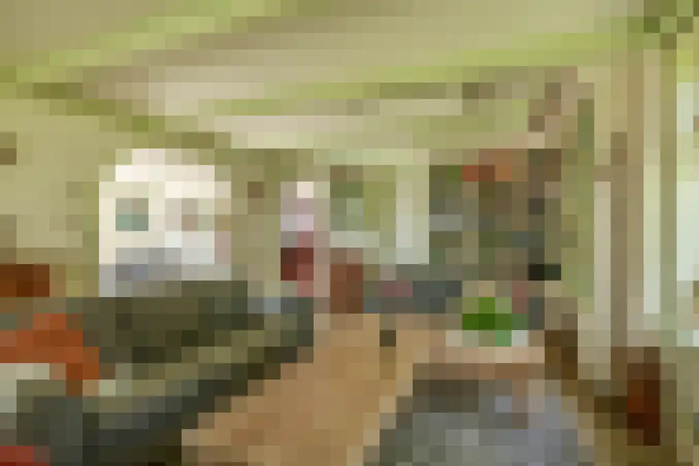 De Hege Bouwen 12 Nijemirdum thumbnail 10