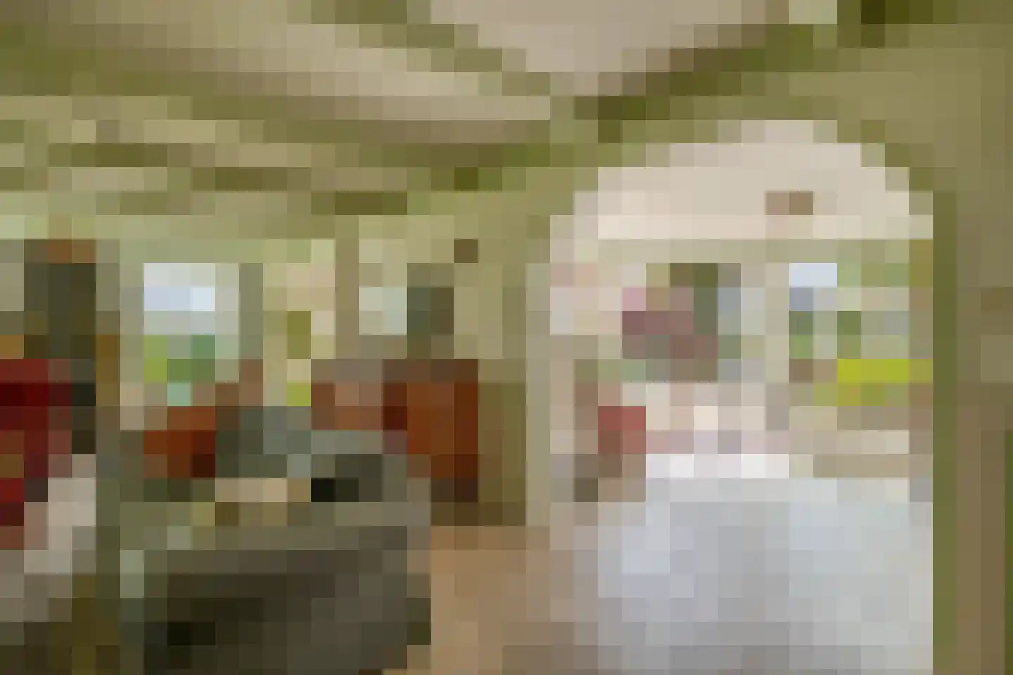 De Hege Bouwen 12 Nijemirdum thumbnail 11