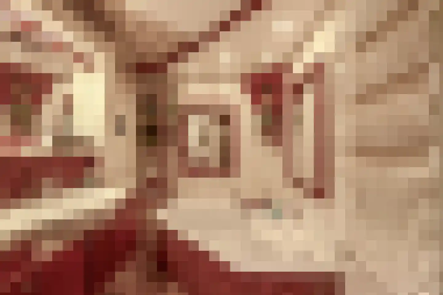 De Hege Bouwen 12 Nijemirdum thumbnail 22