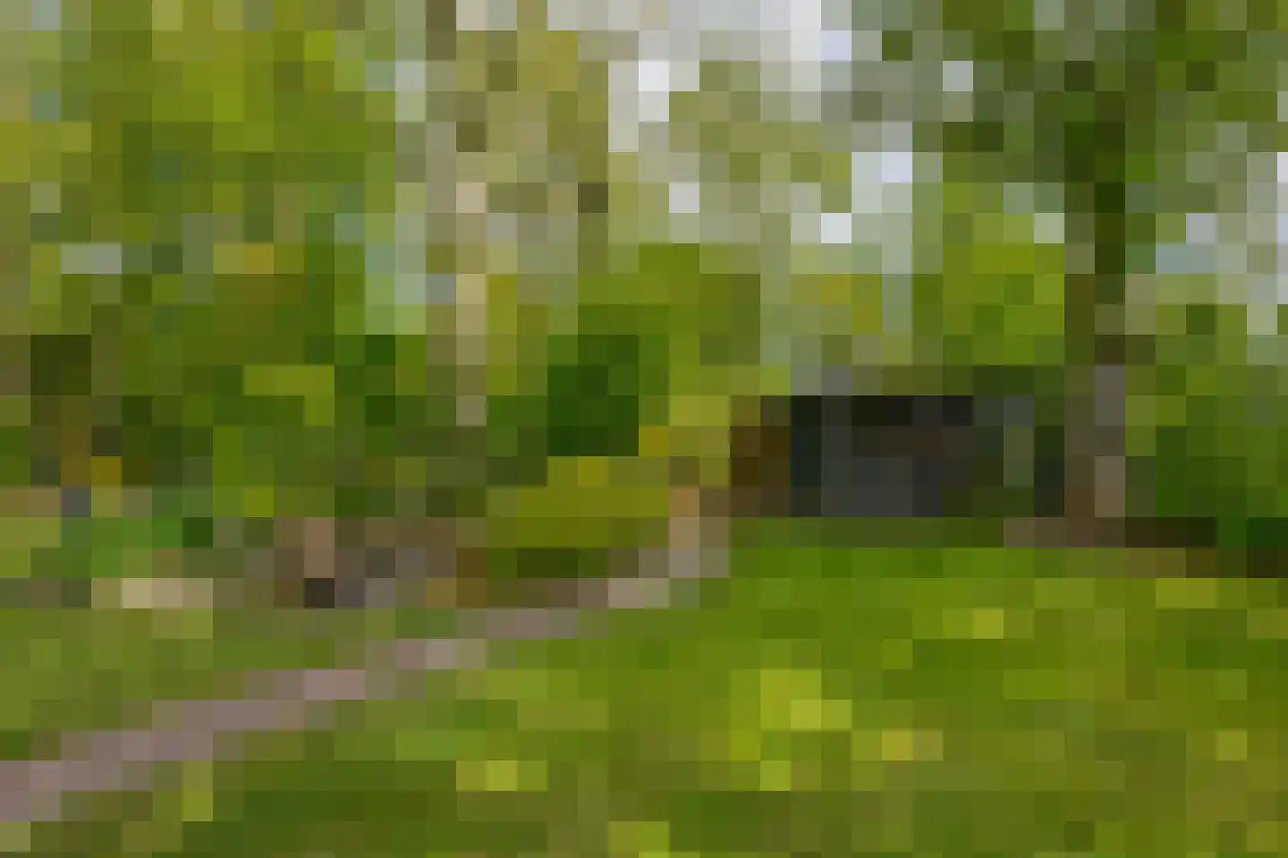 De Hege Bouwen 12 Nijemirdum thumbnail 38