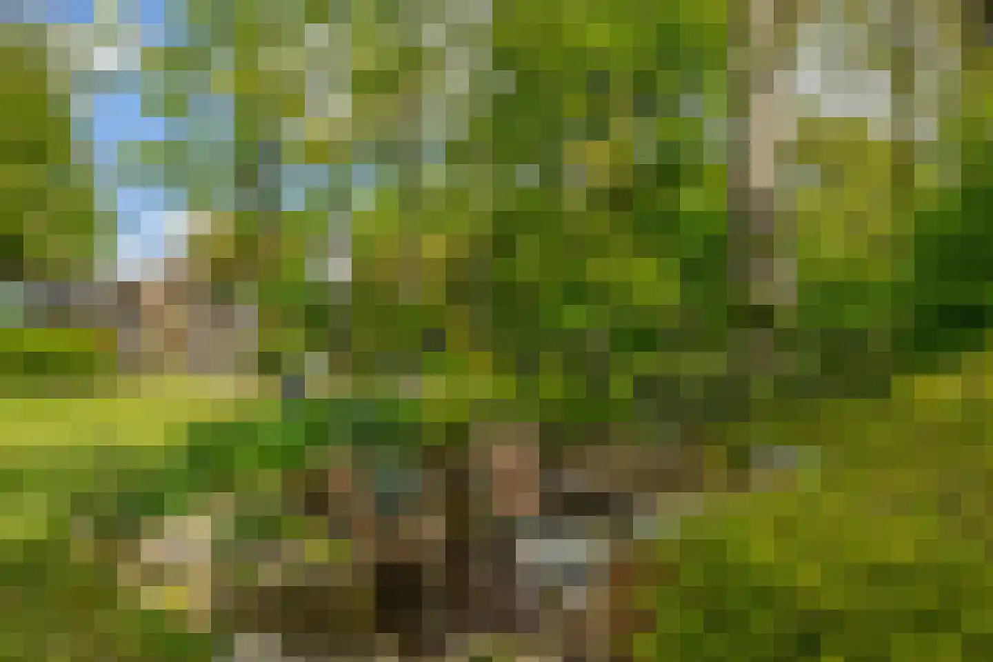 De Hege Bouwen 12 Nijemirdum thumbnail 40