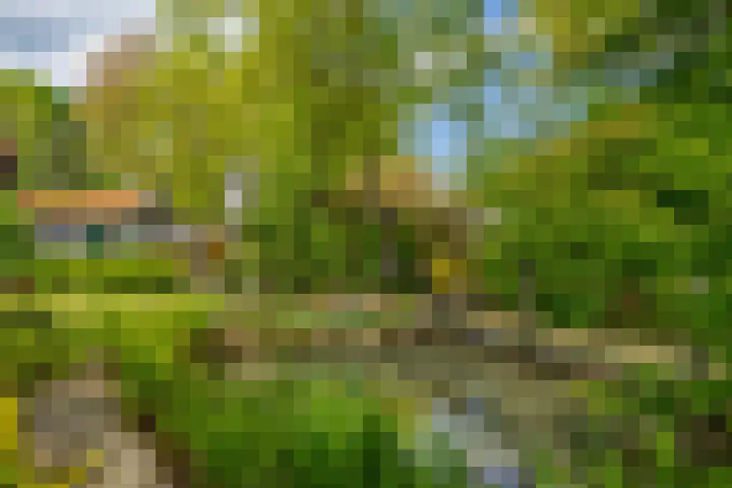 De Hege Bouwen 12 Nijemirdum thumbnail 42