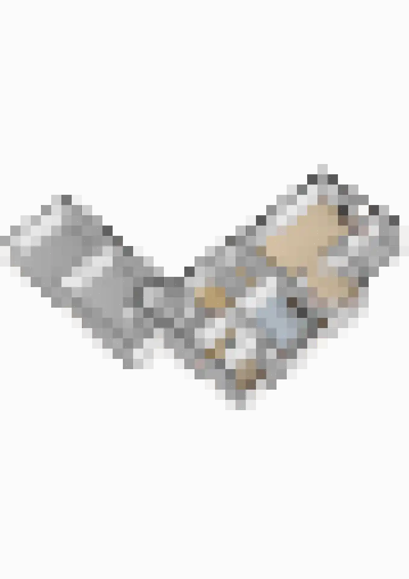 De Hege Bouwen 12 Nijemirdum thumbnail 65