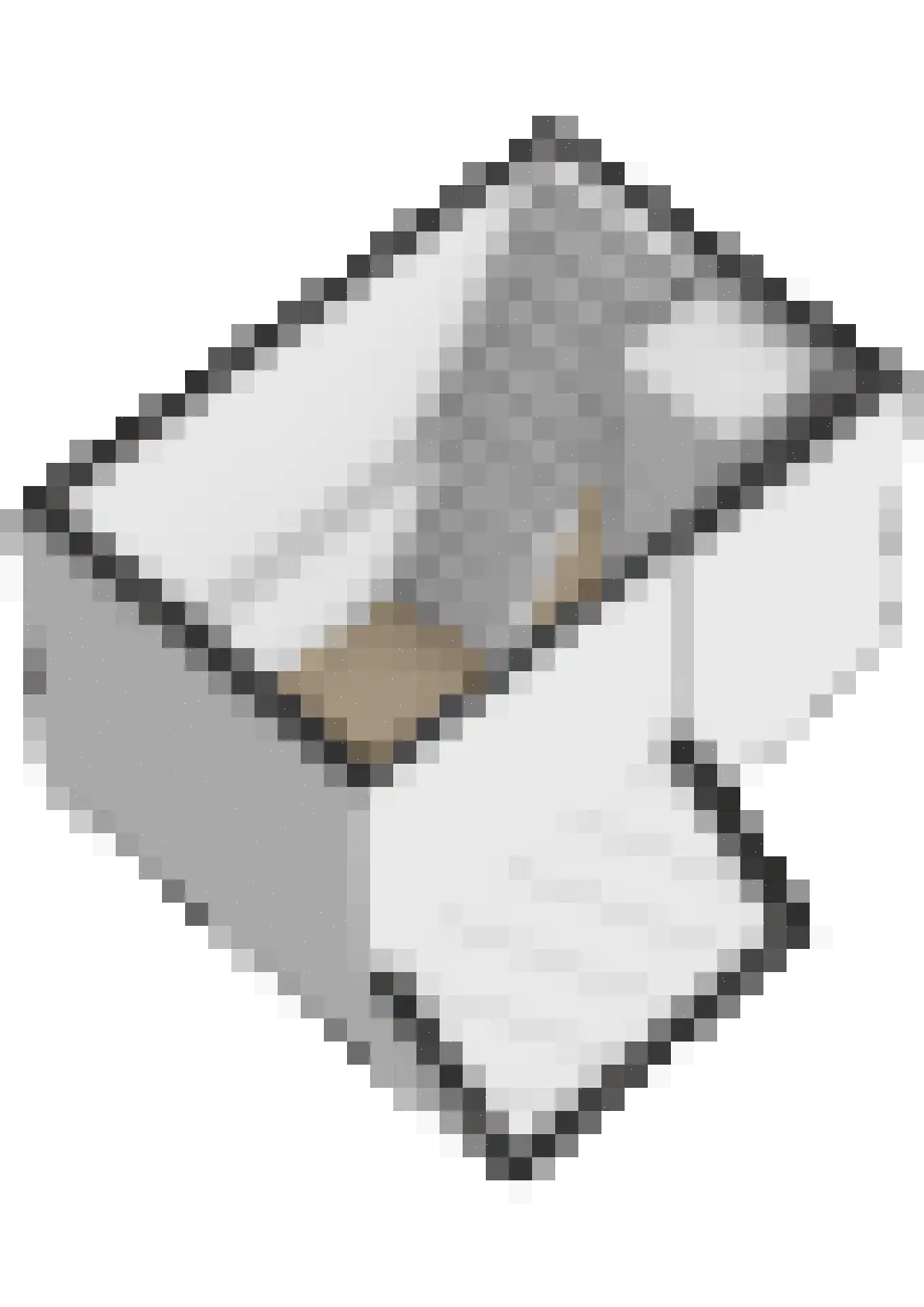 De Hege Bouwen 12 Nijemirdum thumbnail 71