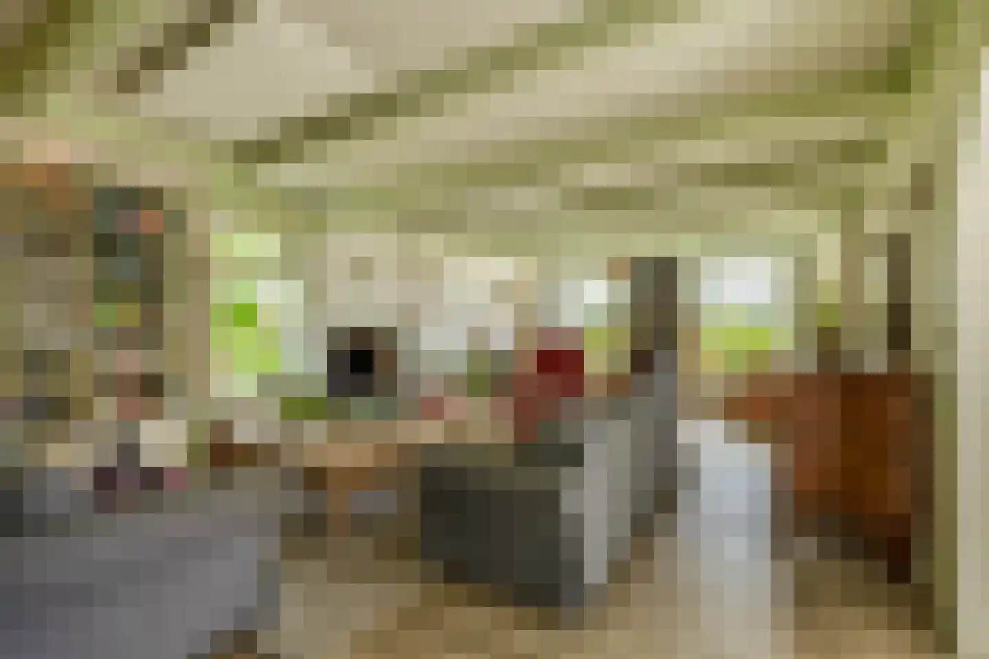 De Hege Bouwen 12 Nijemirdum thumbnail 9