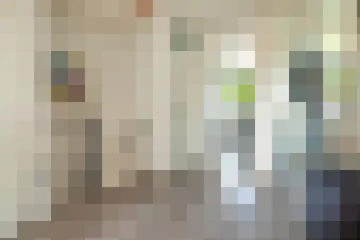 De Hegen 18 Emmen thumbnail 21