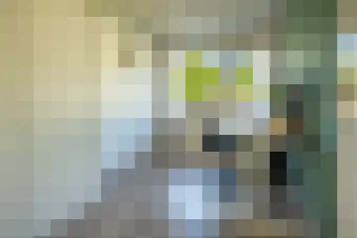 De Hegen 18 Emmen thumbnail 23