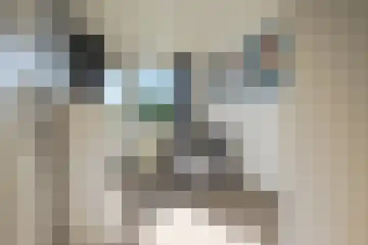 De Hegen 18 Emmen thumbnail 24
