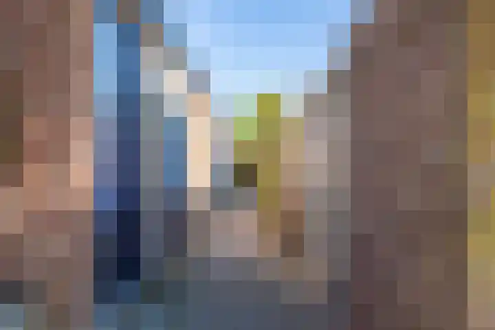 De Hegen 18 Emmen thumbnail 29