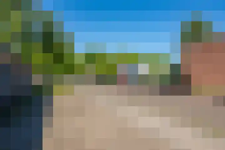 De Hegen 18 Emmen thumbnail 31