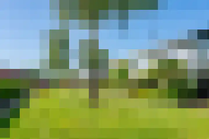 De Hegen 18 Emmen thumbnail 9