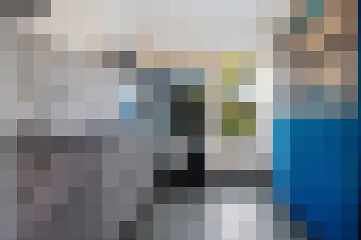 De Hegen 24 Emmen thumbnail 10