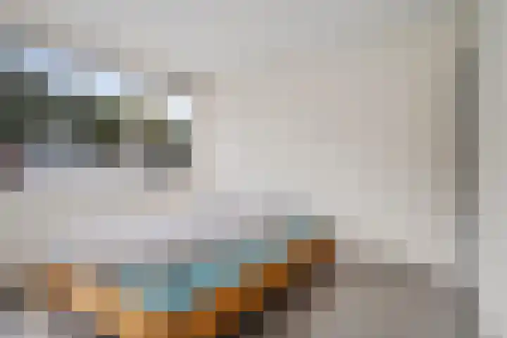 De Hegen 24 Emmen thumbnail 16