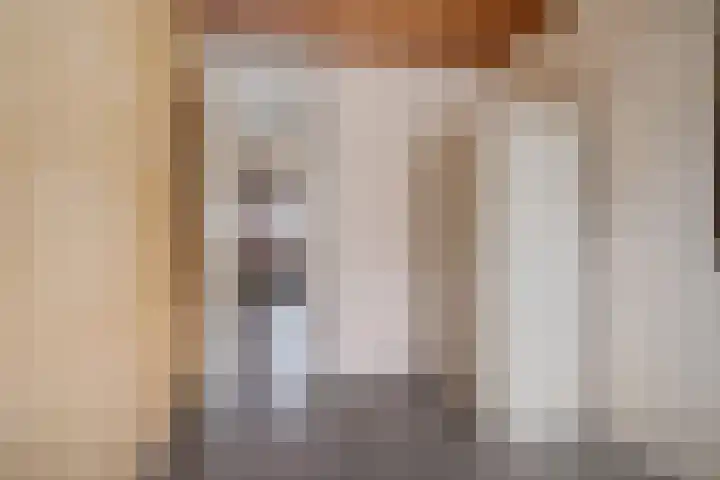 De Hegen 24 Emmen thumbnail 20