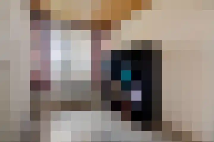 De Hegen 24 Emmen thumbnail 23