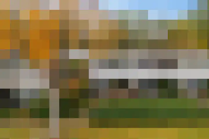 De Hegen 24 Emmen thumbnail 27